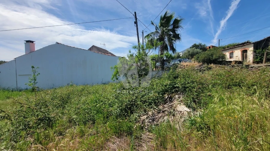 Terreno para Venda em Santo Andre das Tojeiras Foto 4