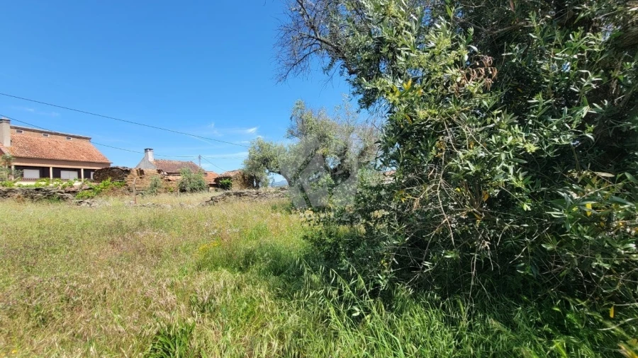 Terreno para Venda em Santo Andre das Tojeiras Foto 11