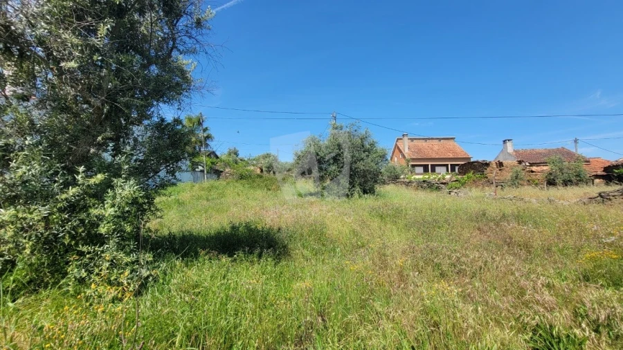 Terreno para Venda em Santo Andre das Tojeiras Foto 12
