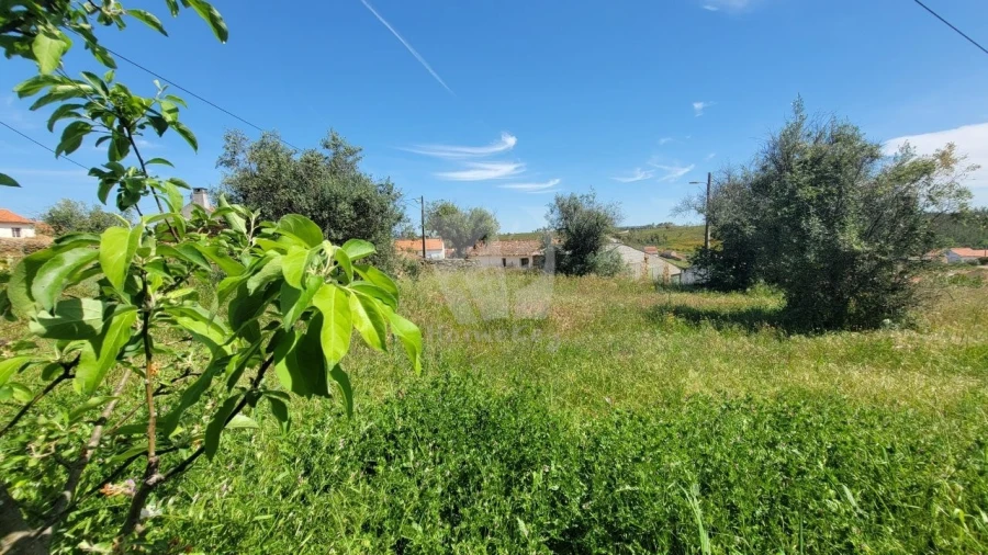 Terreno para Venda em Santo Andre das Tojeiras Foto 15
