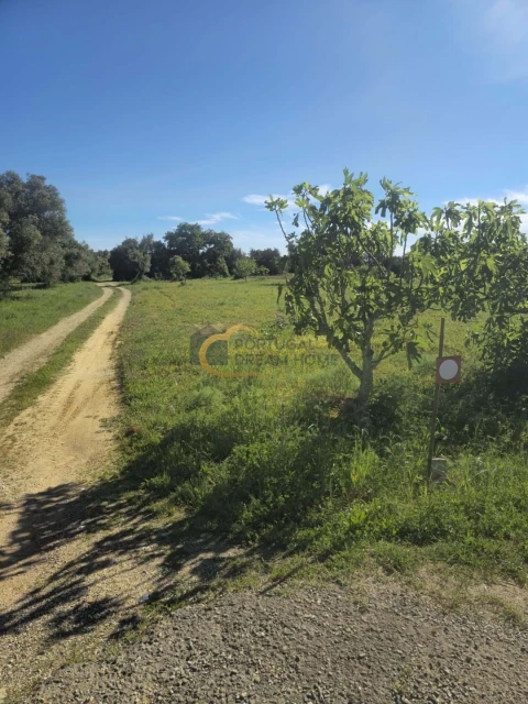 Terreno Agricola ou Rústico para Venda em Silves