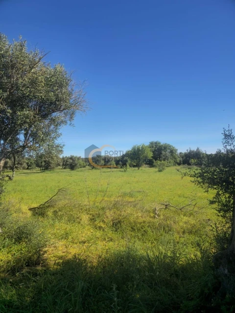Terreno Agricola ou Rústico para Venda em Silves