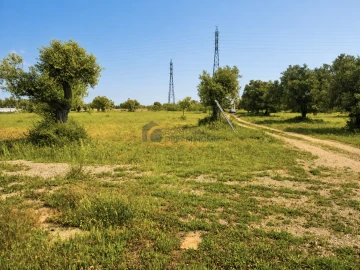 Terreno Agricola ou Rústico para Venda em Silves