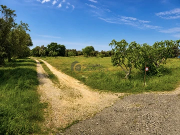 Terreno Agricola ou Rústico para Venda em Silves