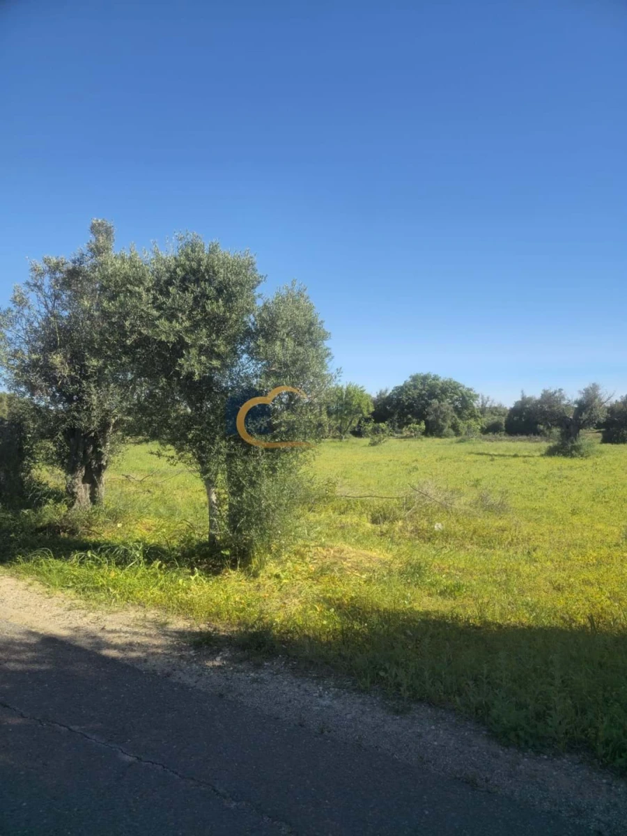 Terreno Agricola ou Rústico para Venda em Silves Foto 7