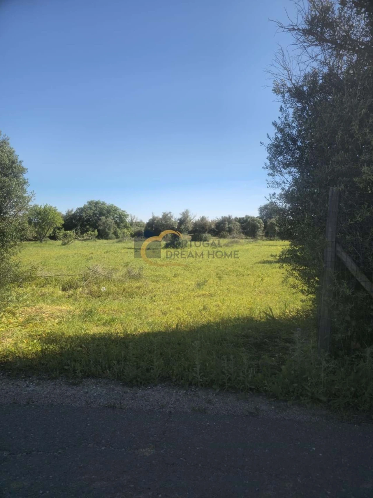 Terreno Agricola ou Rústico para Venda em Silves Foto 8