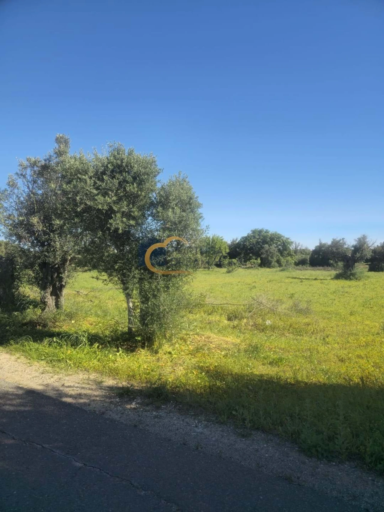 Terreno Agricola ou Rústico para Venda em Silves Foto 7