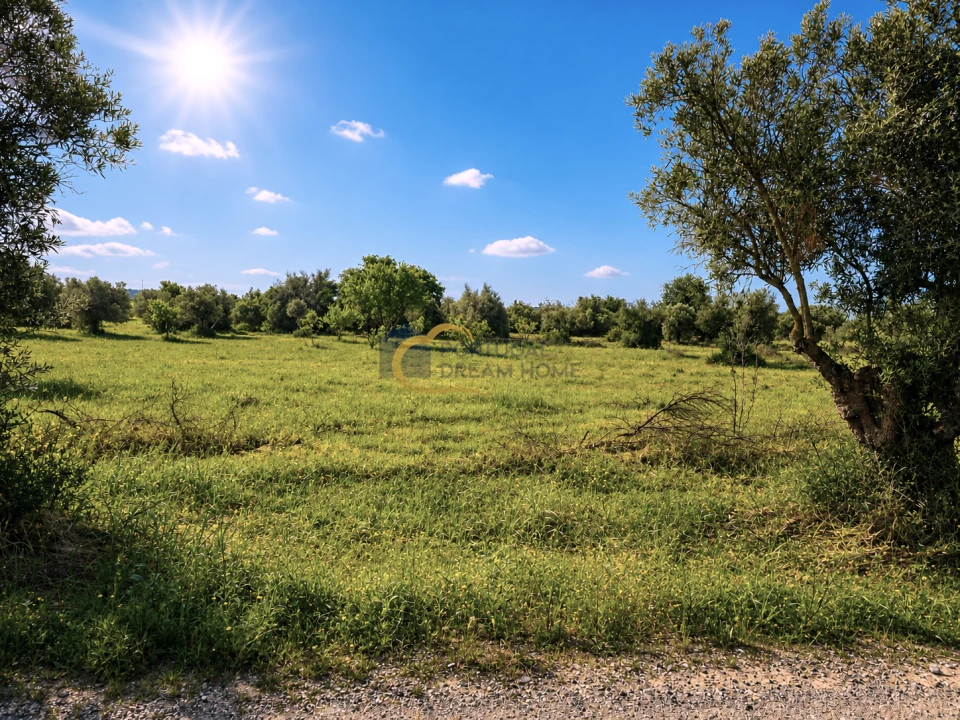 Terreno Agricola ou Rústico para Venda em Silves Foto 3