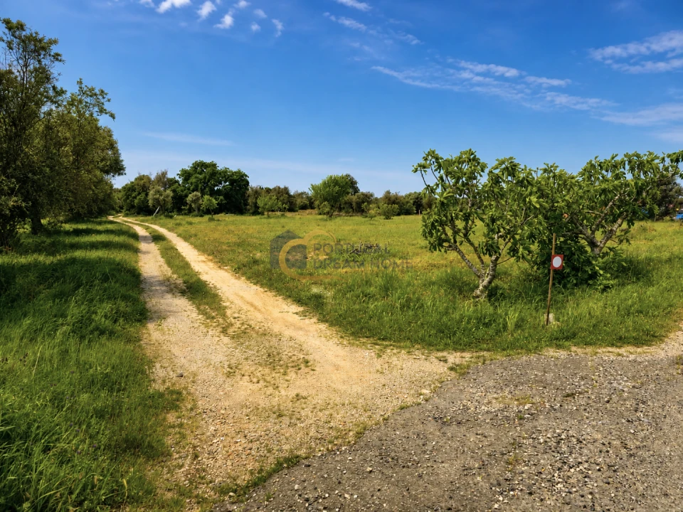 Terreno Agricola ou Rústico para Venda em Silves Foto 5