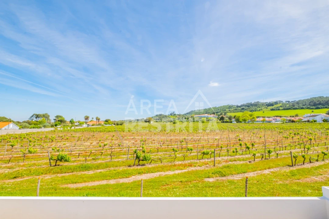 Moradia T4 para Venda em Azeitão (São Lourenço e São Simão) Foto 93