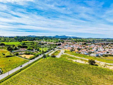 Moradia T4 para Venda em Azeitão (São Lourenço e São Simão)