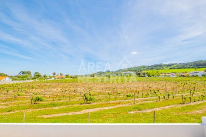Moradia T4 para Venda em Azeitão (São Lourenço e São Simão)