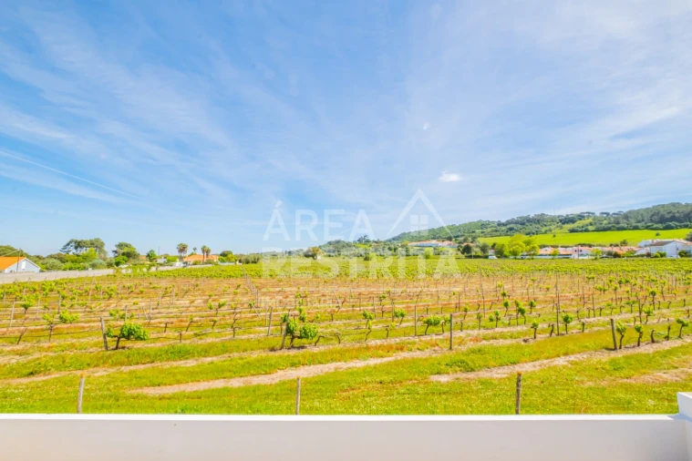 Moradia T4 para Venda em Azeitão (São Lourenço e São Simão) Foto 93