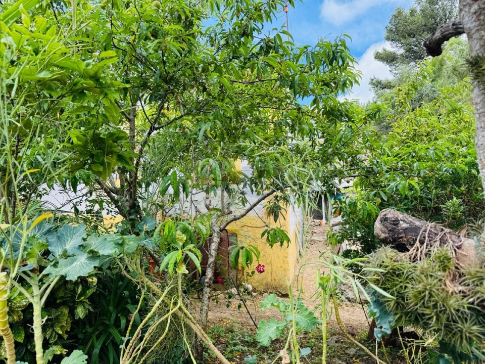 Apartamento T5 para Venda em Queluz e Belas Foto 3