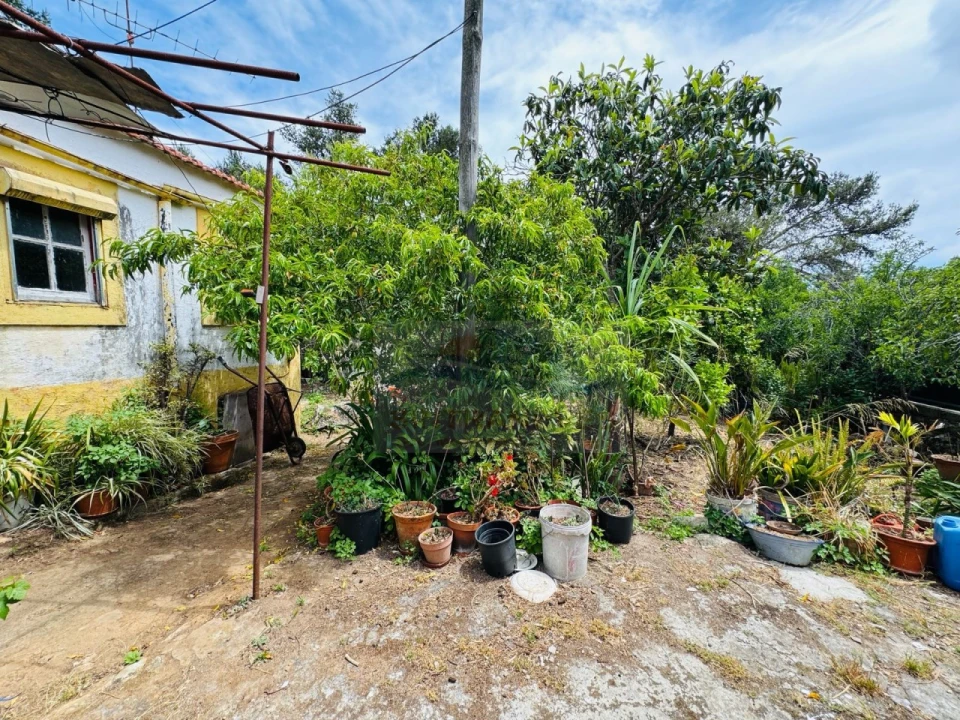 Apartamento T5 para Venda em Queluz e Belas Foto 6