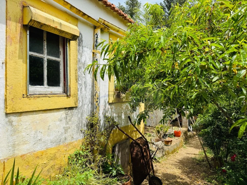 Apartamento T5 para Venda em Queluz e Belas Foto 8