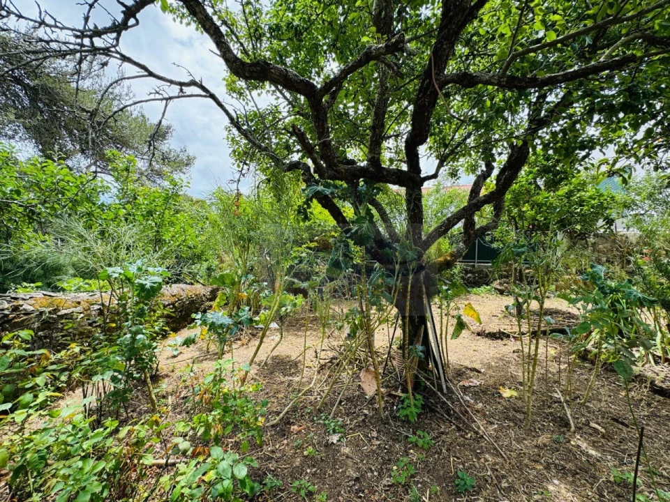 Apartamento T5 para Venda em Queluz e Belas Foto 13