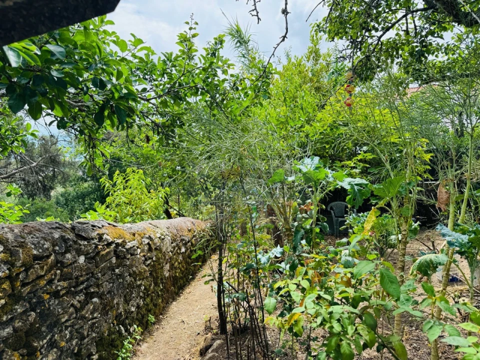 Apartamento T5 para Venda em Queluz e Belas Foto 16