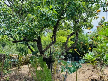 Apartamento T5 para Venda em Queluz e Belas