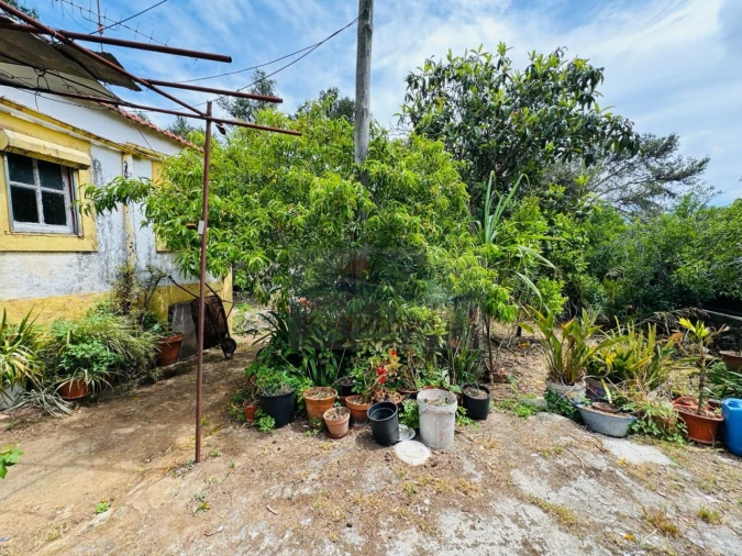 Apartamento T5 para Venda em Queluz e Belas Foto 6