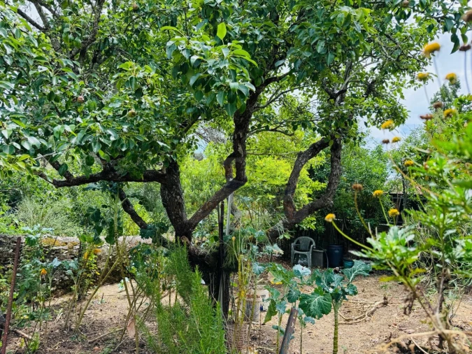 Apartamento T5 para Venda em Queluz e Belas Foto 10
