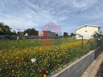 Terreno para Venda em Cabanelas
