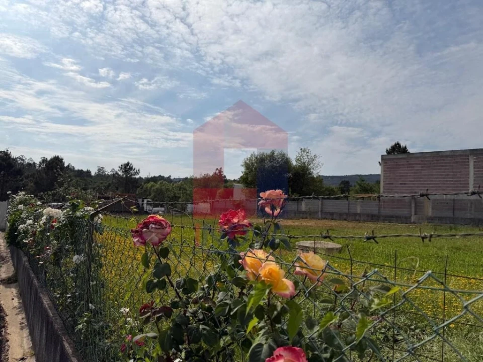 Terreno para Venda em Cabanelas Foto 8