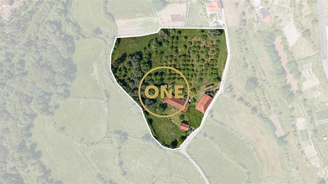 Quinta T5 para Venda em Valdreu Foto 2