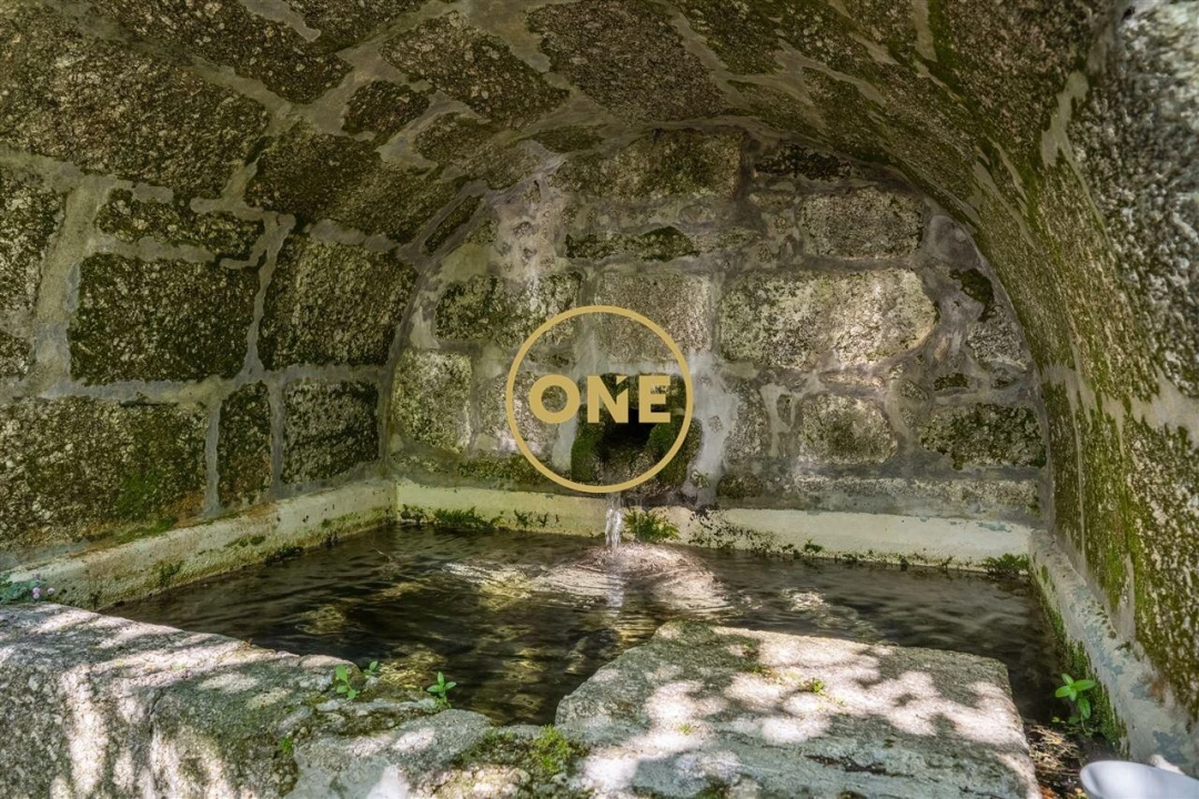 Quinta T5 para Venda em Valdreu Foto 26