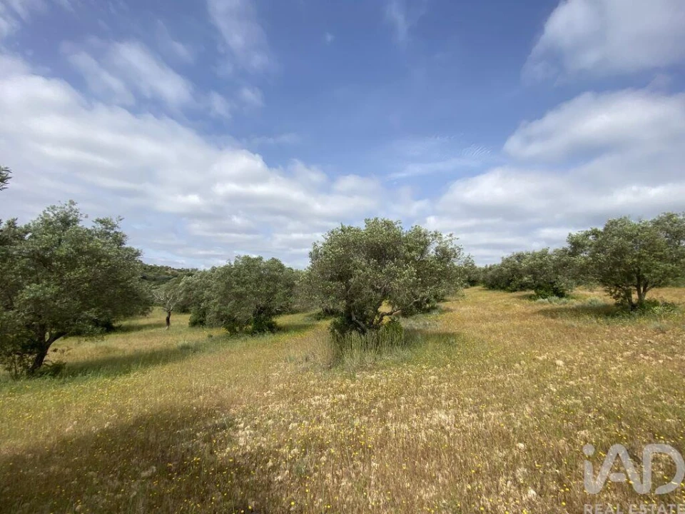 Terreno para Venda em Santa Barbara de Nexe Foto 6
