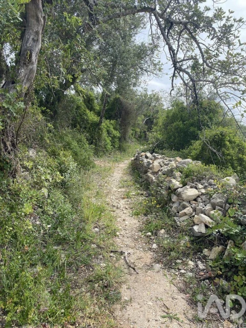 Terreno para Venda em Santa Barbara de Nexe