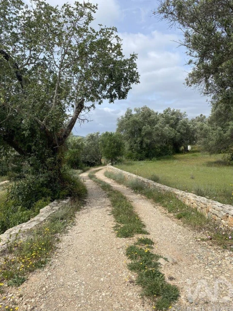 Terreno para Venda em Santa Barbara de Nexe