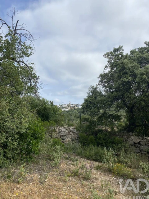 Terreno para Venda em Santa Barbara de Nexe