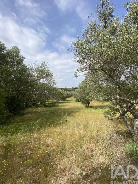 Terreno para Venda em Santa Barbara de Nexe