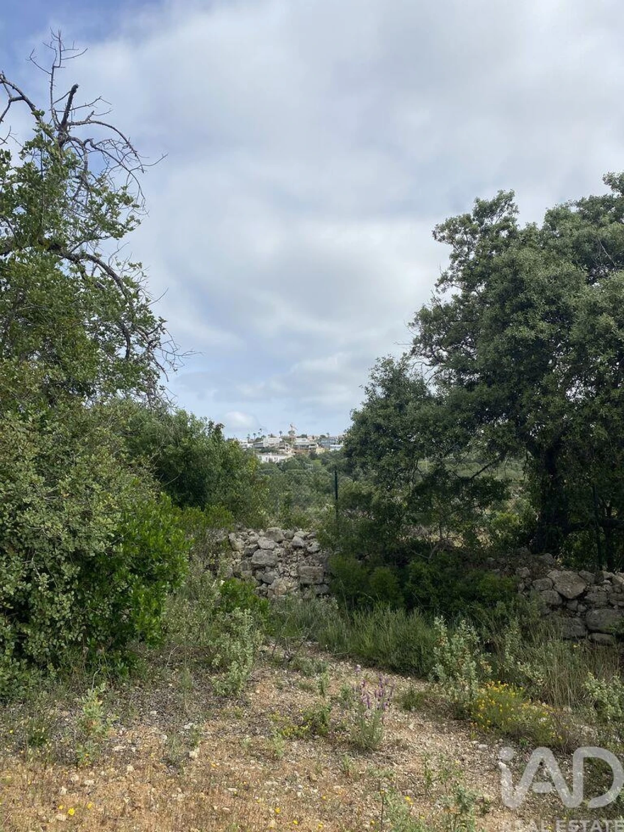 Terreno para Venda em Santa Barbara de Nexe Foto 5
