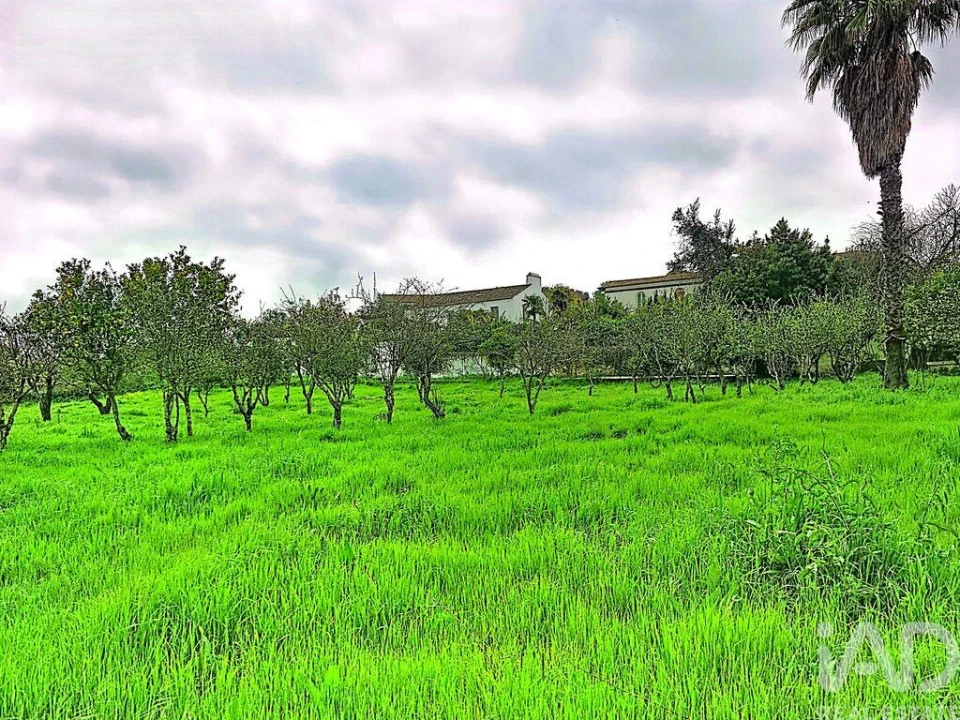 Quinta T3 para Venda em Nossa Senhora da Conceição e São Bartolomeu Foto 36