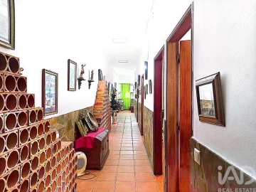 Quinta T3 para Venda em Nossa Senhora da Conceição e São Bartolomeu
