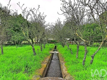 Quinta T3 para Venda em Nossa Senhora da Conceição e São Bartolomeu