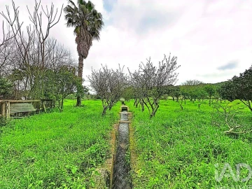 Quinta T3 para Venda em Nossa Senhora da Conceição e São Bartolomeu