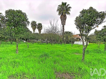Quinta T3 para Venda em Nossa Senhora da Conceição e São Bartolomeu