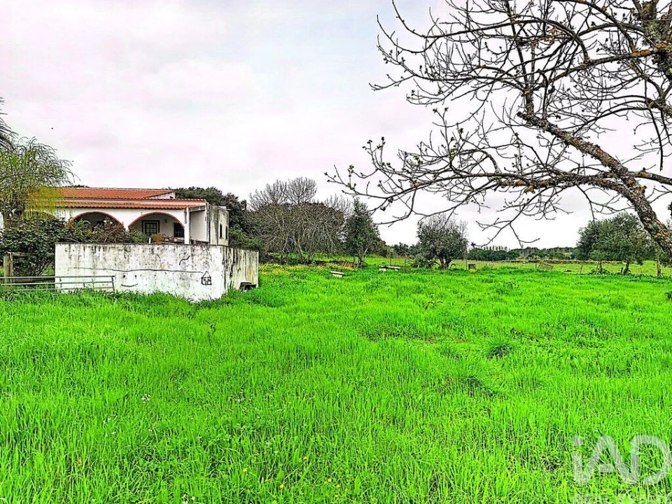 Quinta T3 para Venda em Nossa Senhora da Conceição e São Bartolomeu Foto 25