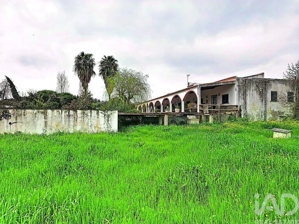 Quinta T3 para Venda em Nossa Senhora da Conceição e São Bartolomeu Foto 38