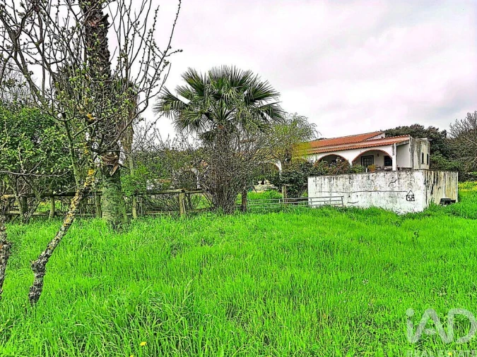 Quinta T3 para Venda em Nossa Senhora da Conceição e São Bartolomeu Foto 31