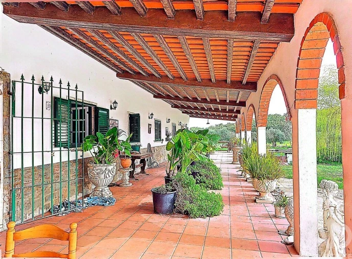Quinta T3 para Venda em Nossa Senhora da Conceição e São Bartolomeu Foto 5