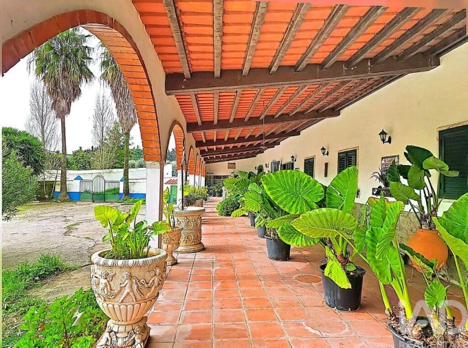 Quinta T3 para Venda em Nossa Senhora da Conceição e São Bartolomeu Foto 4