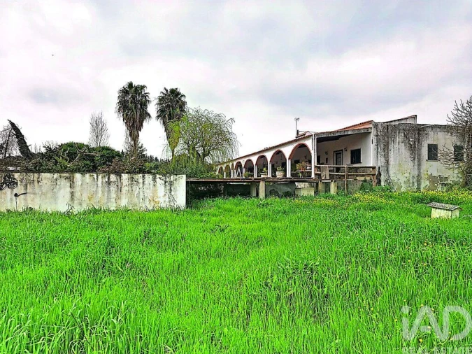 Quinta T3 para Venda em Nossa Senhora da Conceição e São Bartolomeu Foto 38