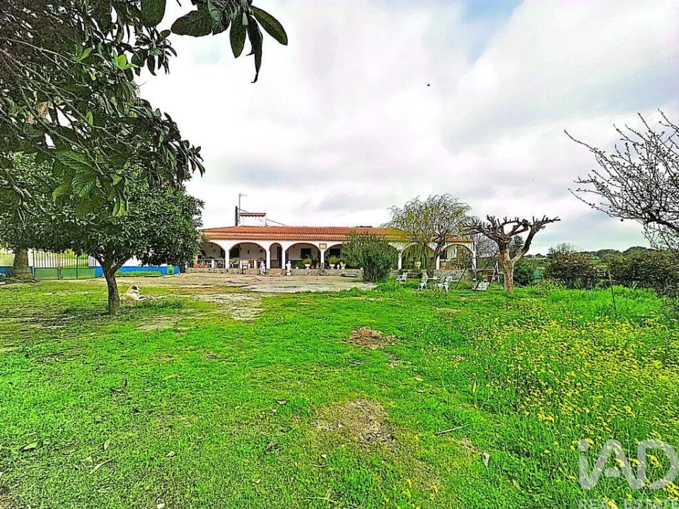 Quinta T3 para Venda em Nossa Senhora da Conceição e São Bartolomeu Foto 32