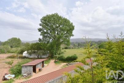 Negócio para Arrendamento em Miranda do Corvo