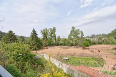 Negócio para Arrendamento em Miranda do Corvo