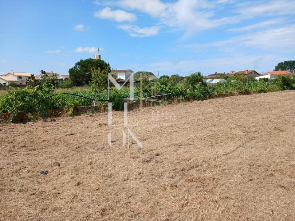Terreno para Venda em Vagos e Santo António Foto 18